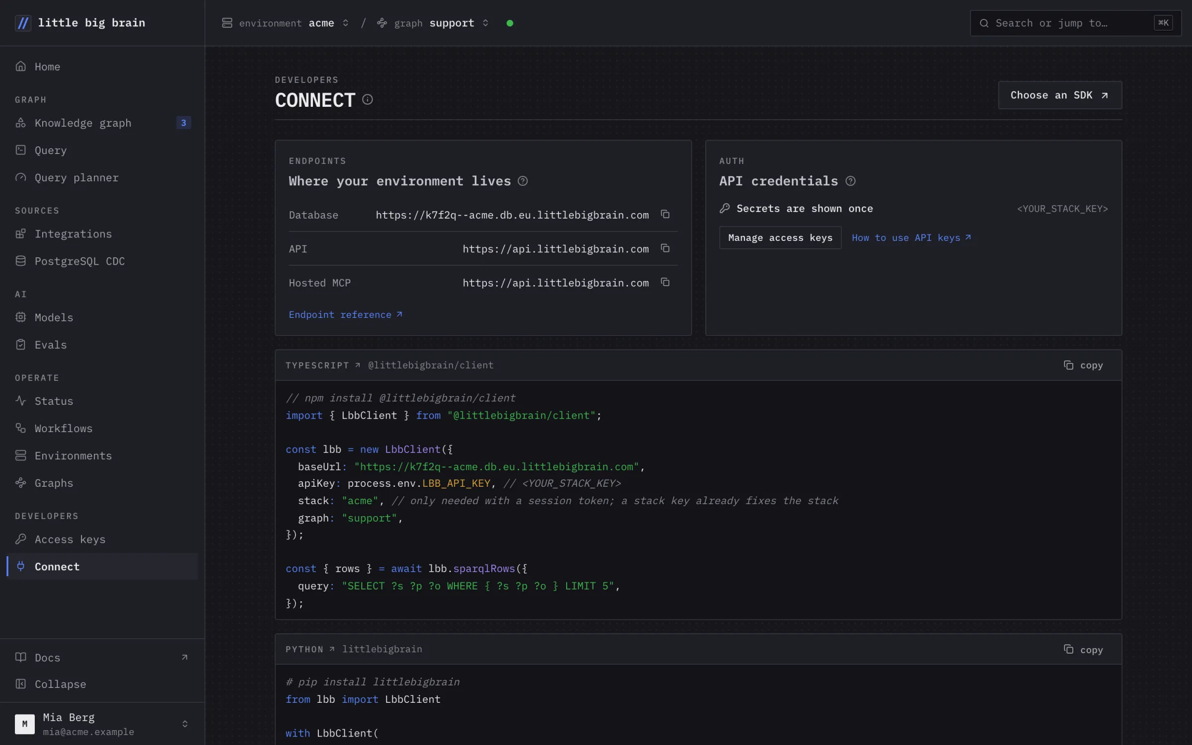 The Connect page: the database, API and MCP endpoints, and TypeScript code for the environment