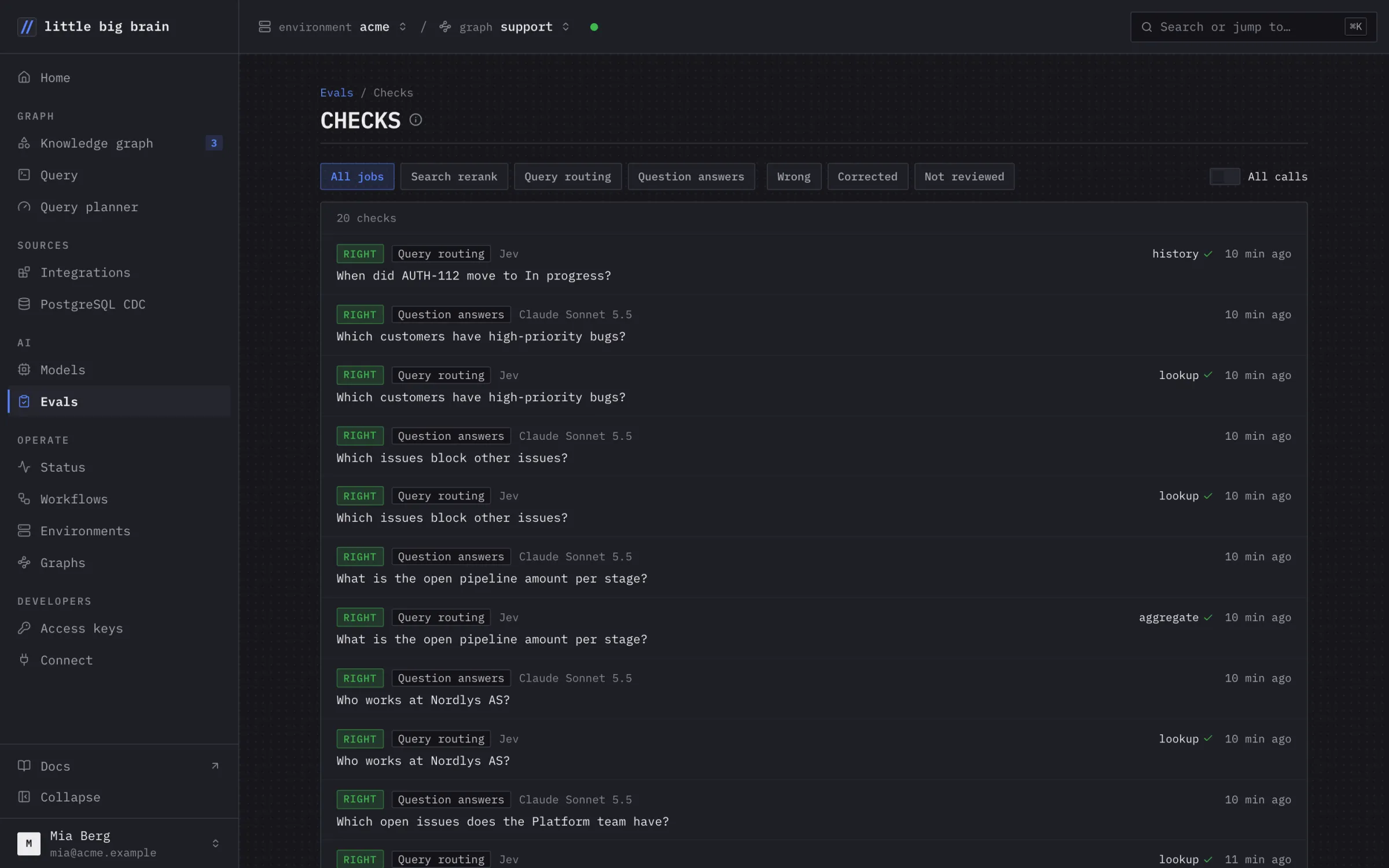 The Evals checks list: question answers and query routing calls, each marked right by the judge