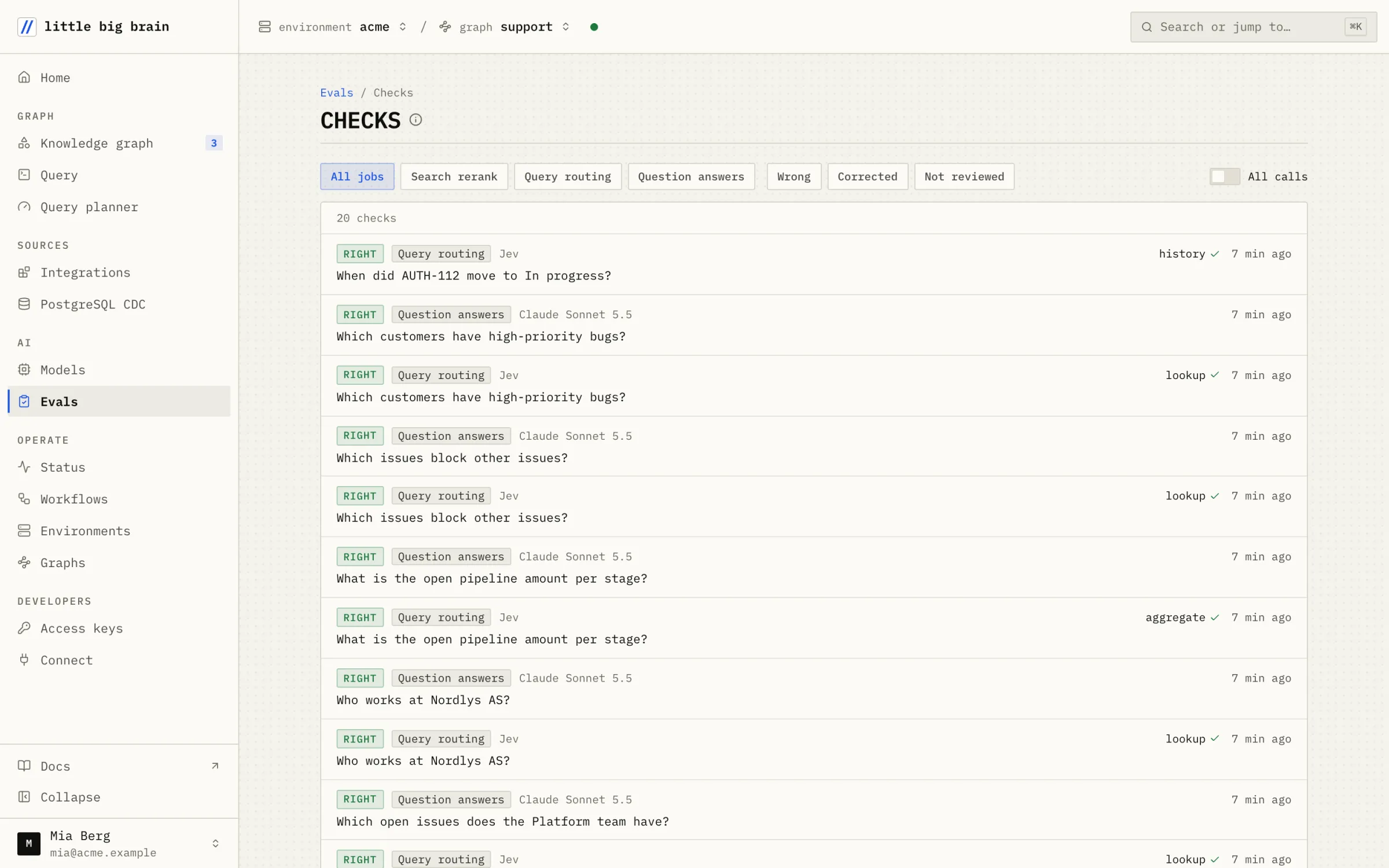 The Evals checks list: question answers and query routing calls, each marked right by the judge